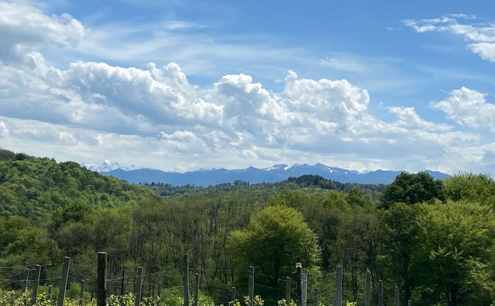 Beautiful renovated Bearnaise Farmhouse with Exceptional Views of the Pyrenees Mountains